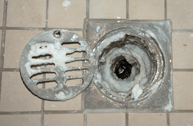 Smelly Shower Drain? 